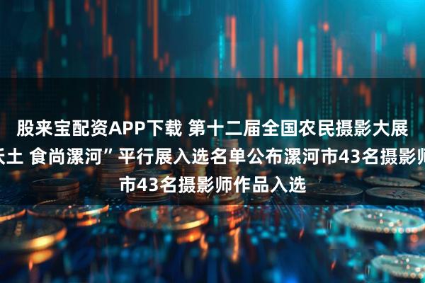 股来宝配资APP下载 第十二届全国农民摄影大展和“中原沃土 食尚漯河”平行展入选名单公布漯河市43名摄影师作品入选