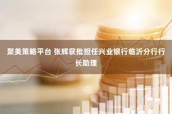 聚美策略平台 张辉获批担任兴业银行临沂分行行长助理