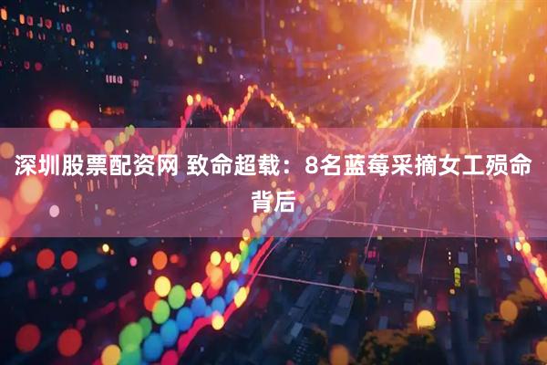 深圳股票配资网 致命超载：8名蓝莓采摘女工殒命背后