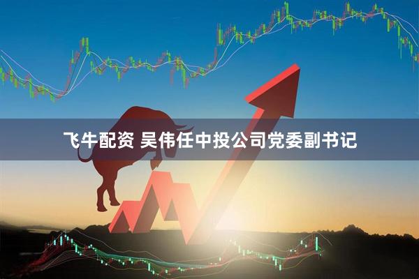 飞牛配资 吴伟任中投公司党委副书记